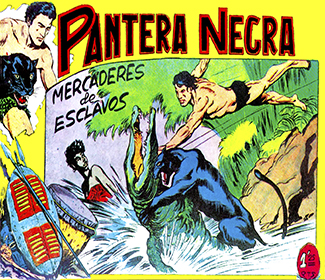 Portadilla0017