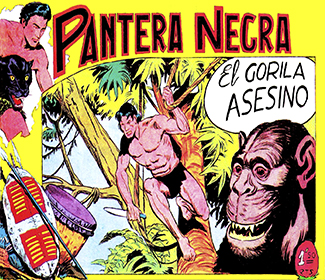 Portadilla0019