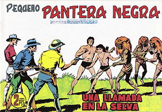 Portadilla133